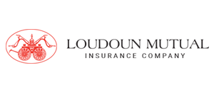 Loudoun Payments